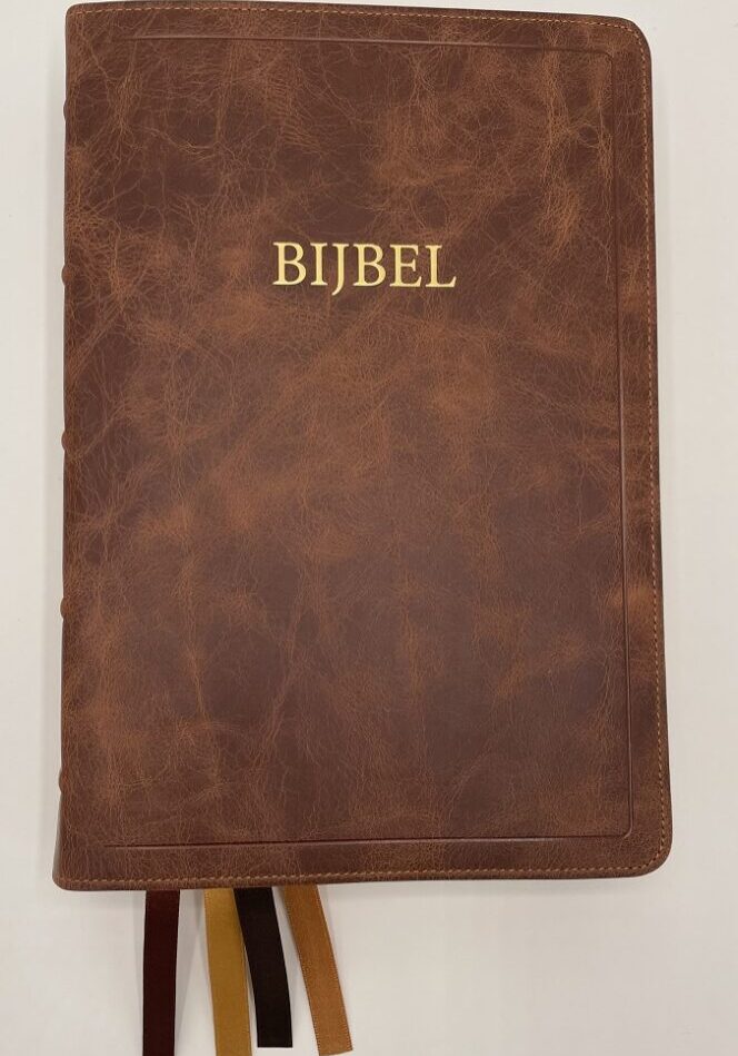 Junique_Chestnut_001